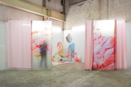 Avant de baisser les yeux, Lucile Boiron, Vue d'exposition